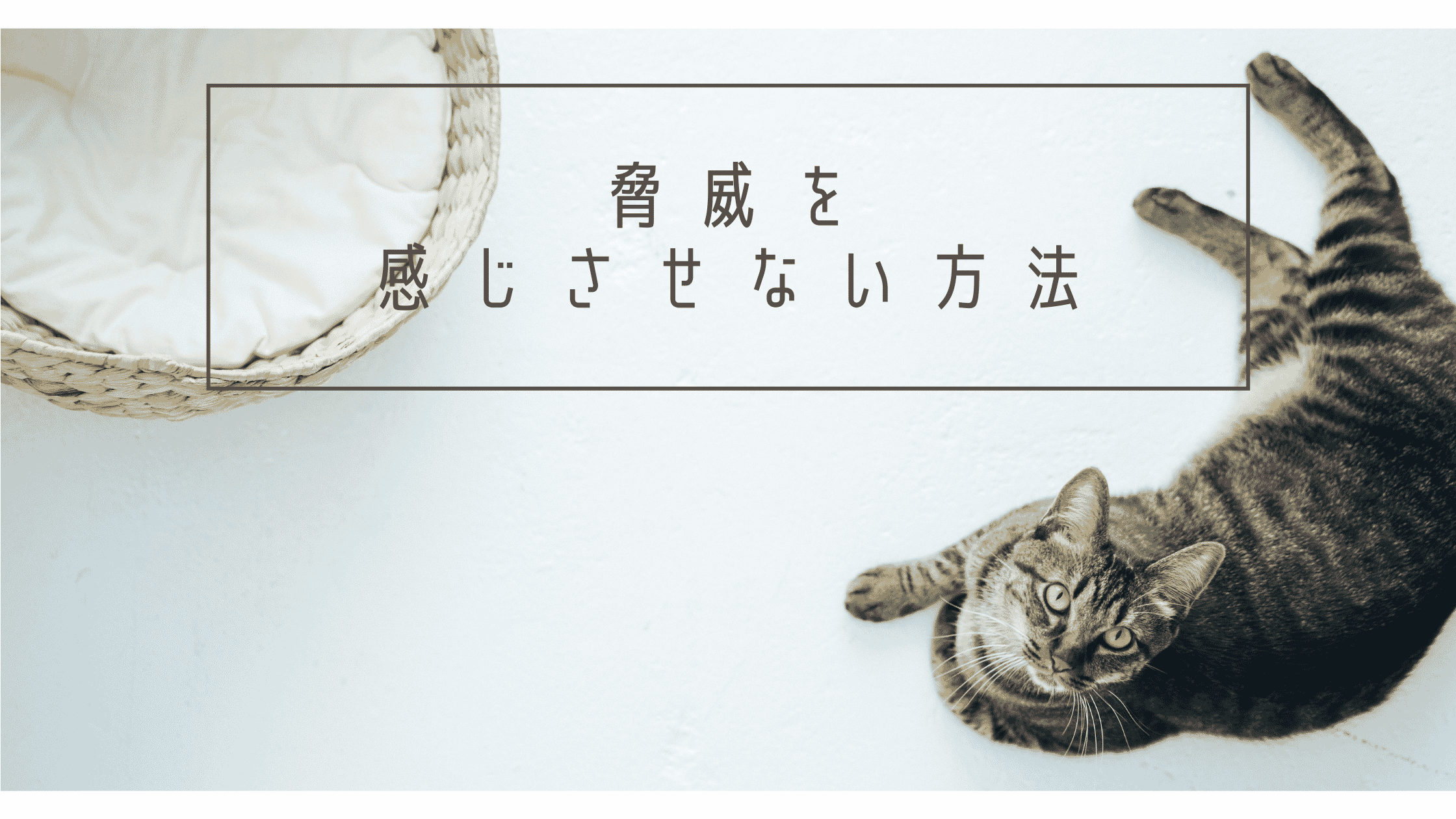 相手に脅威を感じさせない方法